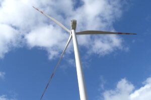 1688449427 wiatraki newseria