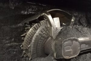 1699618445 sciana lwbogdanka