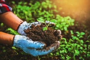 1701076607 rolnictwo freepik