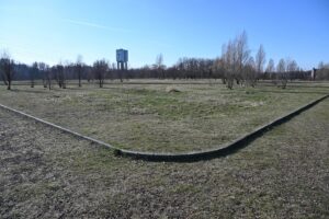 1708348477 halda niedurnego3