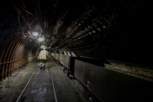 1709809790 foto wujek2