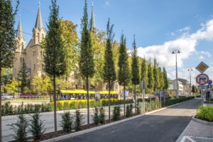 1712639026 zielenkatowicesrybok