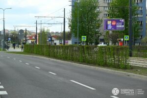 1713276230 zieloneploty