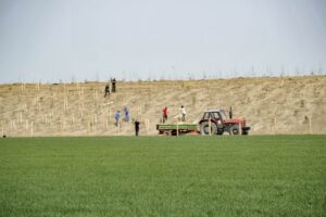 1714375386 wal turow pge giek