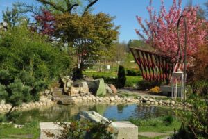 1715156110 zielenrybnik