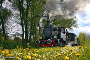 1715682990 parowozrys