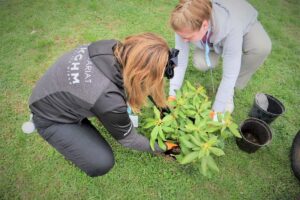 1723199475 ogrod marzen kghm