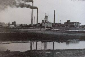 1726820117 flora mmsztygarka