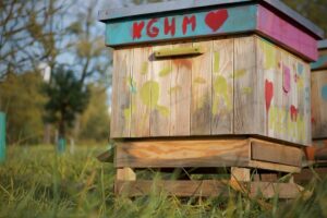 1730113303 kghm pasieki