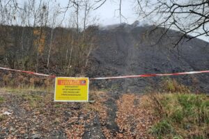 1731416471 wrzosy 11