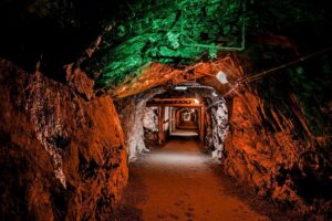 1731603784 zlotystok