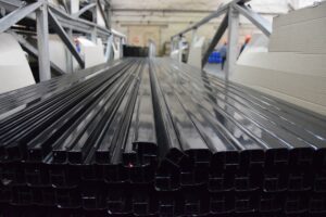 1737961703 fotorosnacarolaprofili