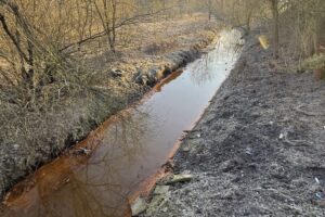 1741175466 klodnica srk