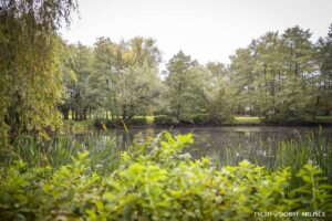 1743493390 park umtychy