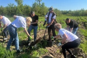 1745915473 nasadzenia lasu