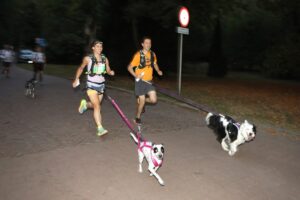 1749073574 dogtrekking