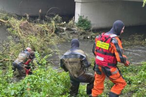 1753772007 fotadichmielewski