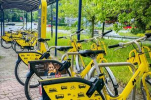 1755761223 metrorower