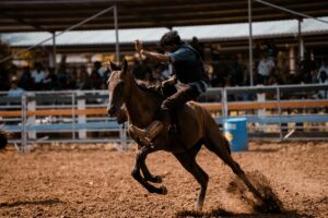 1756883844 horse 8209541 1280