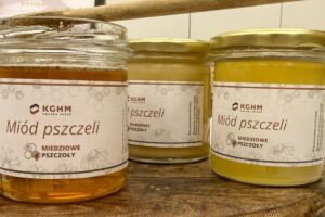 1758785174 miodobranie