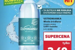 1759388932 ustronianka