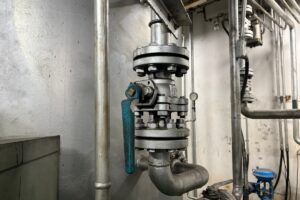 1759822498 adobestock 1672833041