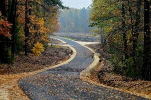 1762601624 ns n crop