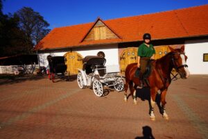 1769595111 img 20220207 wa0096