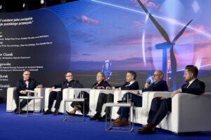 1772461318 enea stawi