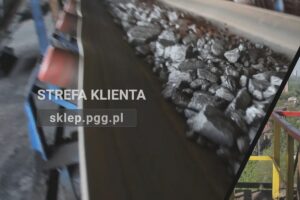 1669113946 e sklep pgg