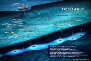 1635931407 aerfuglplnorq