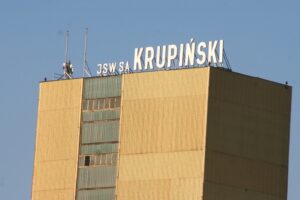 Krupinski1 pp