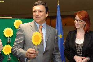 Barroso slonecznik