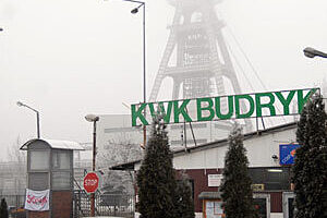 Budryk gal
