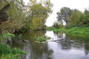 Bzura