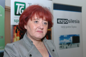 MINIINGF EXPO II TON 13