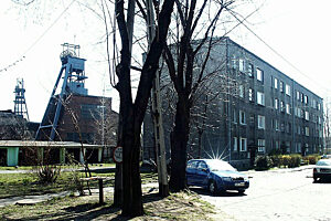 Niwka moderzejow