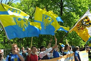 RAS pochod mmsilesia pl