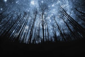 Earth hour