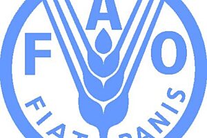Fao logo web
