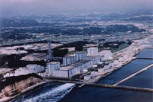 Fukushima greenpacks1