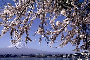Japonia travelplanet pl