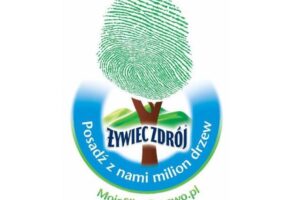 Moje silne drzewo logo mojesilnedrzewo pl