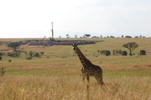 Nawierty uganda pnig krakow