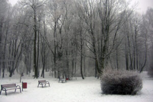 Park bytom arc