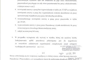 Poro 5 1024x768