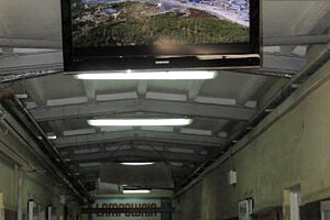 Tv KGHM