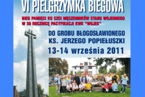 Vi bieg pamieci