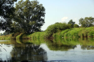 Wisla KK