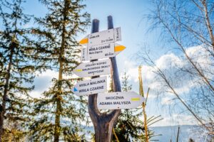 Wisla cienkow 02 2025 r kazmierczak 2140